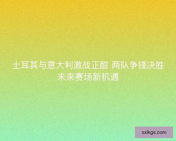 土耳其与意大利激战正酣 两队争锋决胜未来赛场新机遇